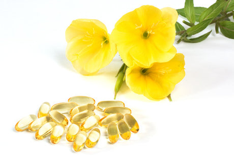 What are the benefits of Evening Primrose Oil?